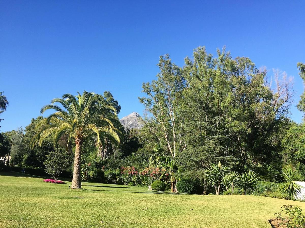 Nueva Andalucia - Penthouse Appartement *